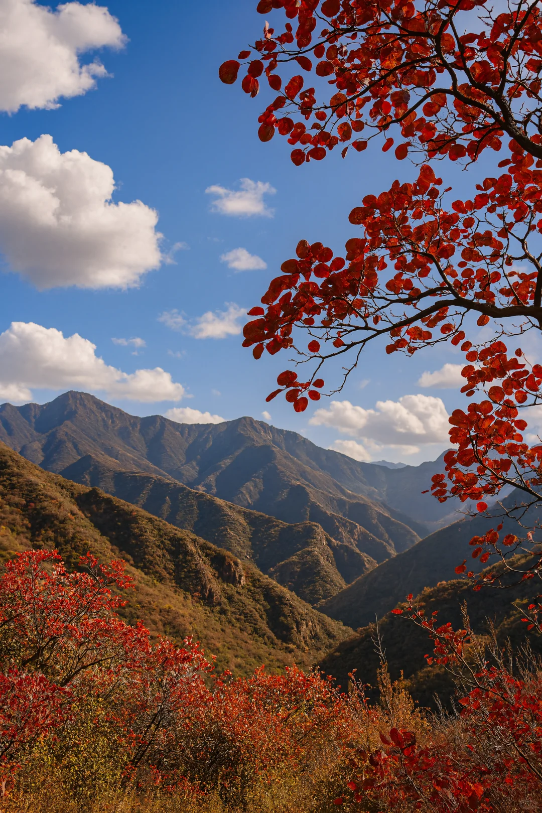 不去香山！北京私藏的红叶秘境，氛围感绝了