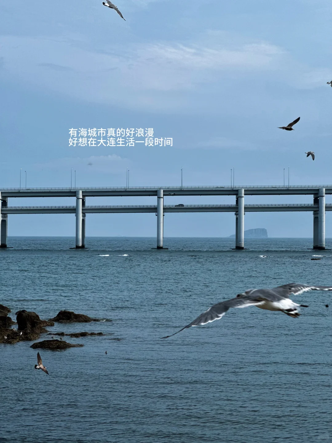 ：🌊在大连 淡人48h旅游攻略（附详细路线时间