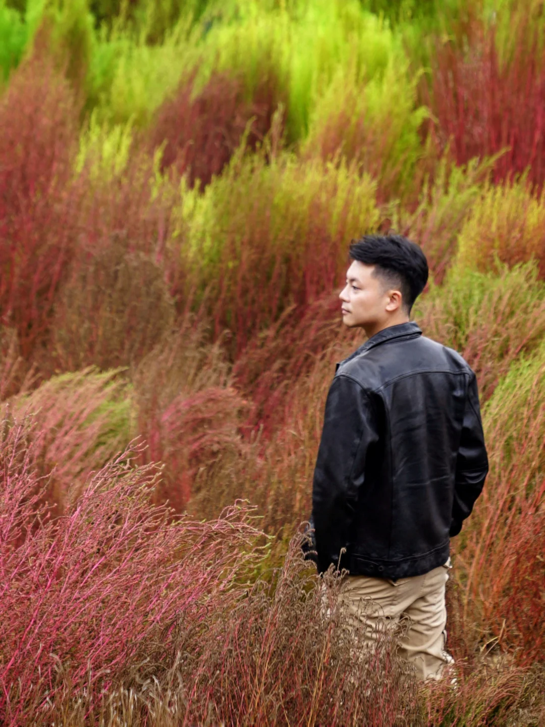 🍁一定要来北京感受一次老舍笔下的北平之秋