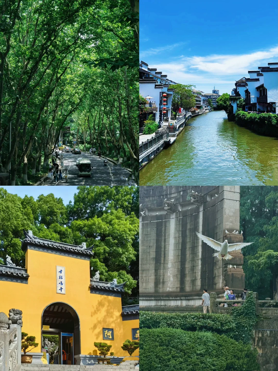 🗺️上海+苏州+南京+杭州 | 超详细旅行攻