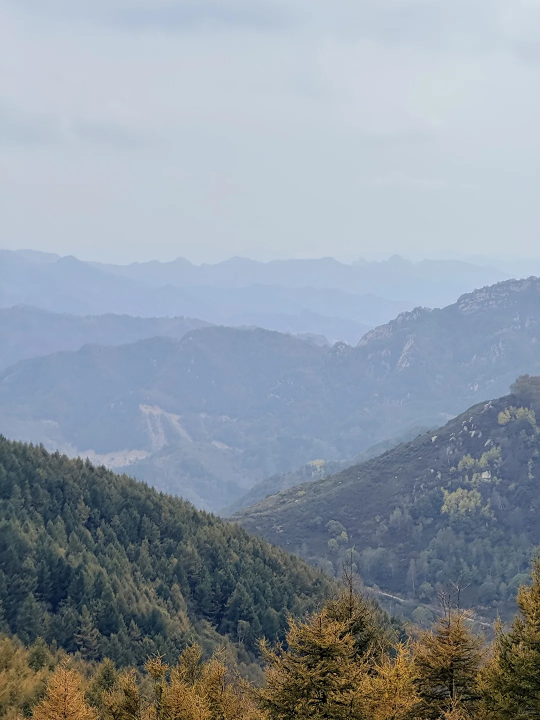 10.2石家庄阿勒泰杀疯了