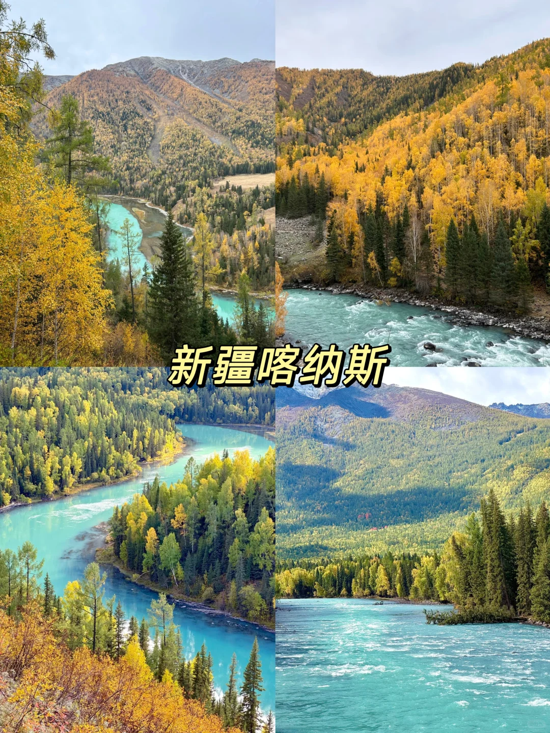 国内秋天必去8大旅游地攻略！