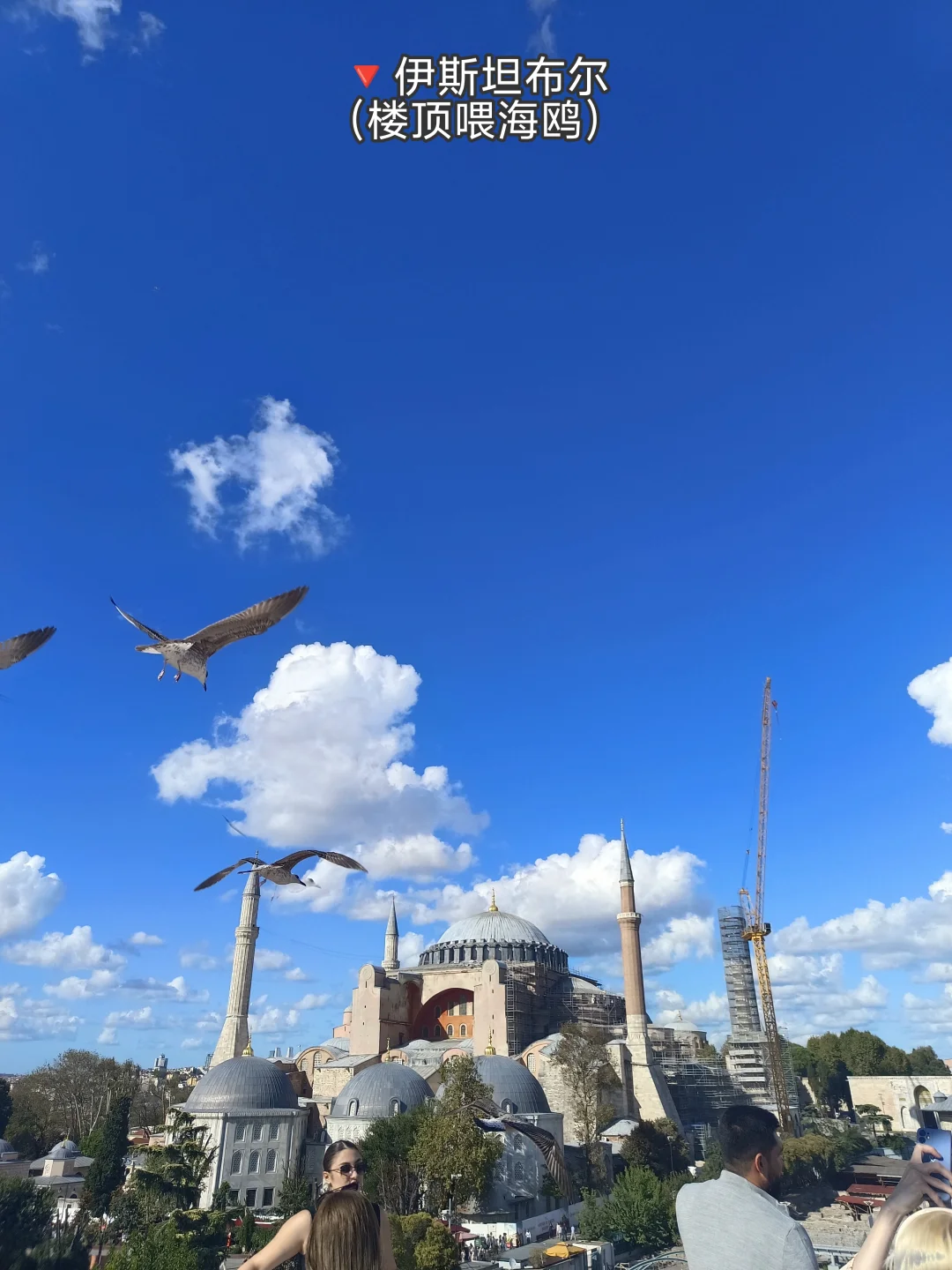 去土耳其旅游8天7晚,自由行花费7.2k😍