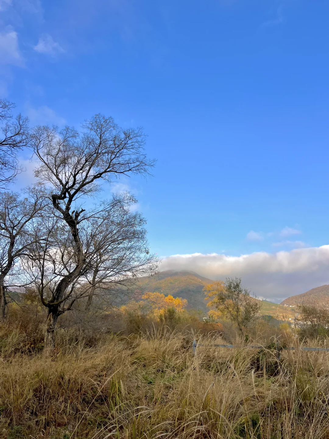 这么近那么美！！河北才叫美！！