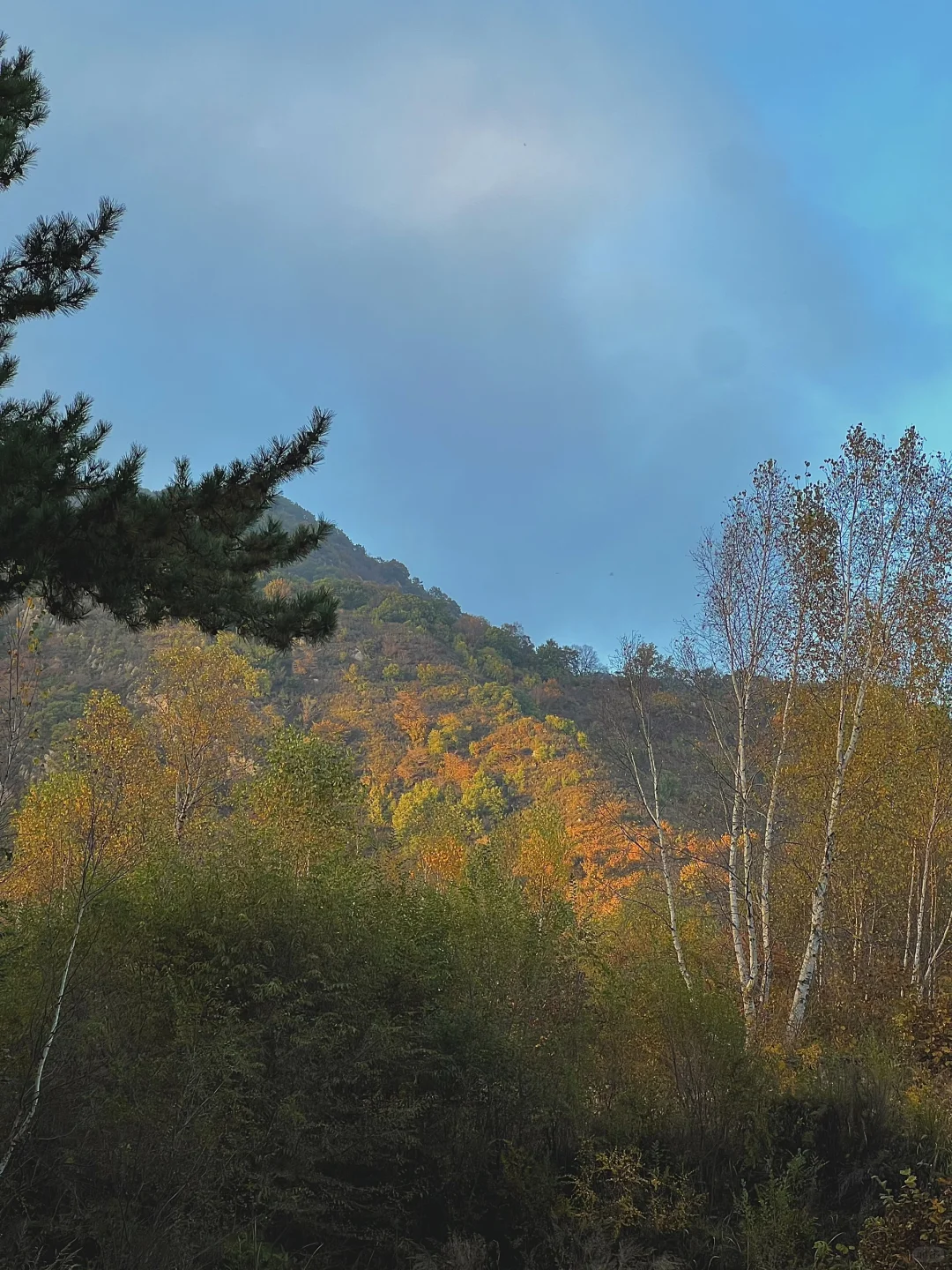 这么近那么美！！河北才叫美！！