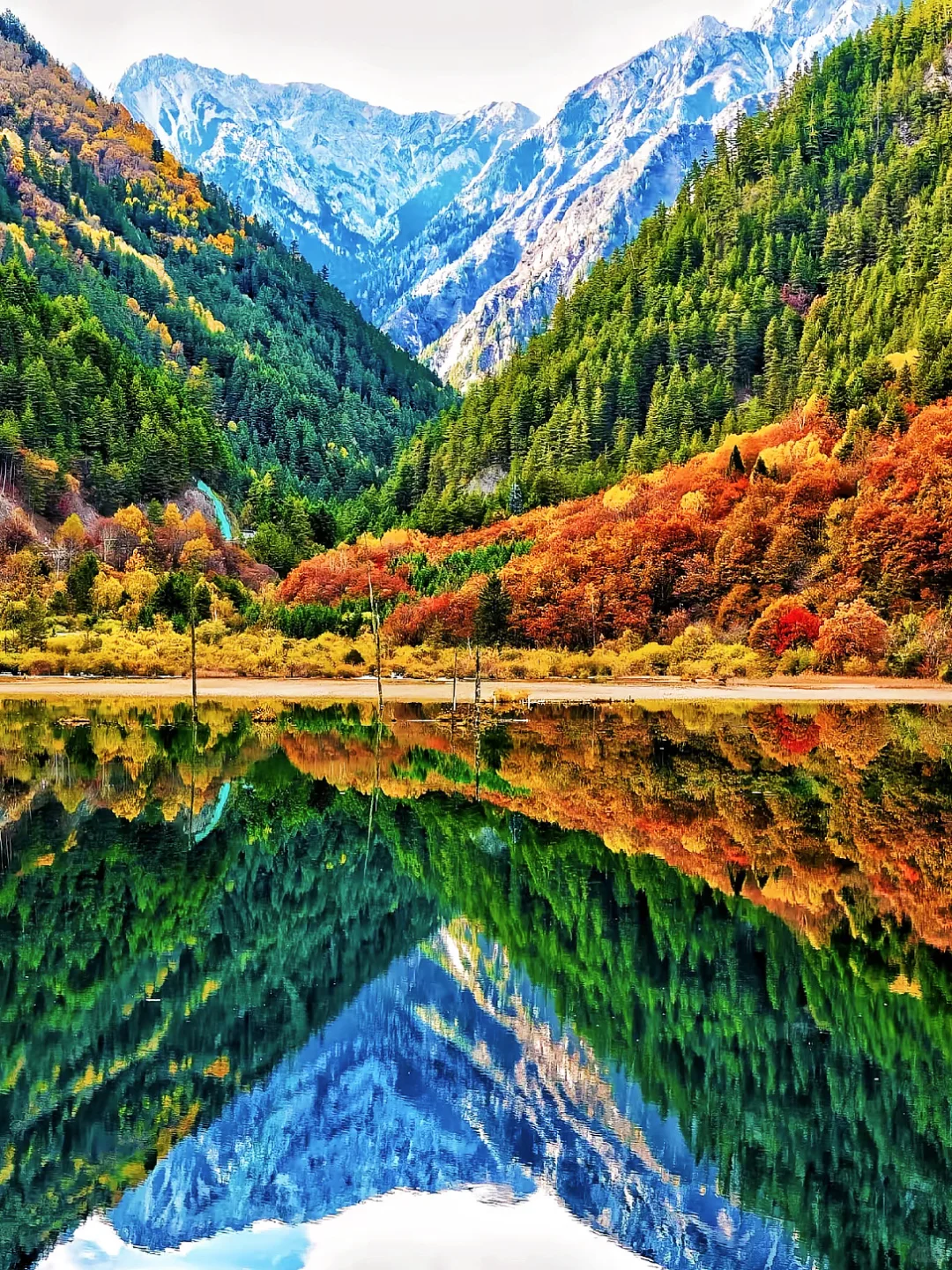 接下来的九寨沟,彩林进入封神期!一年仅30天