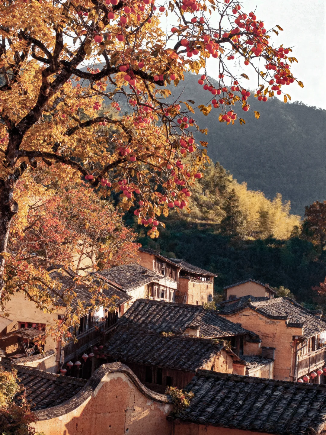 🍁10 月屏南 | 赴一场秋日之约🍁