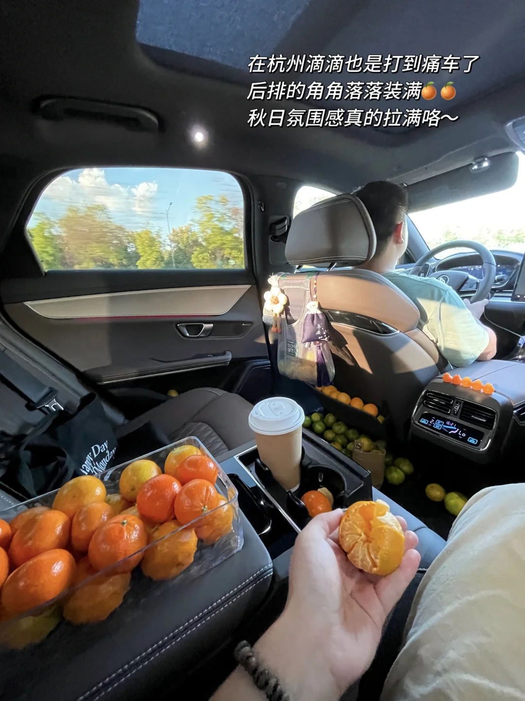 接下来几个月的杭州，将美到next level….