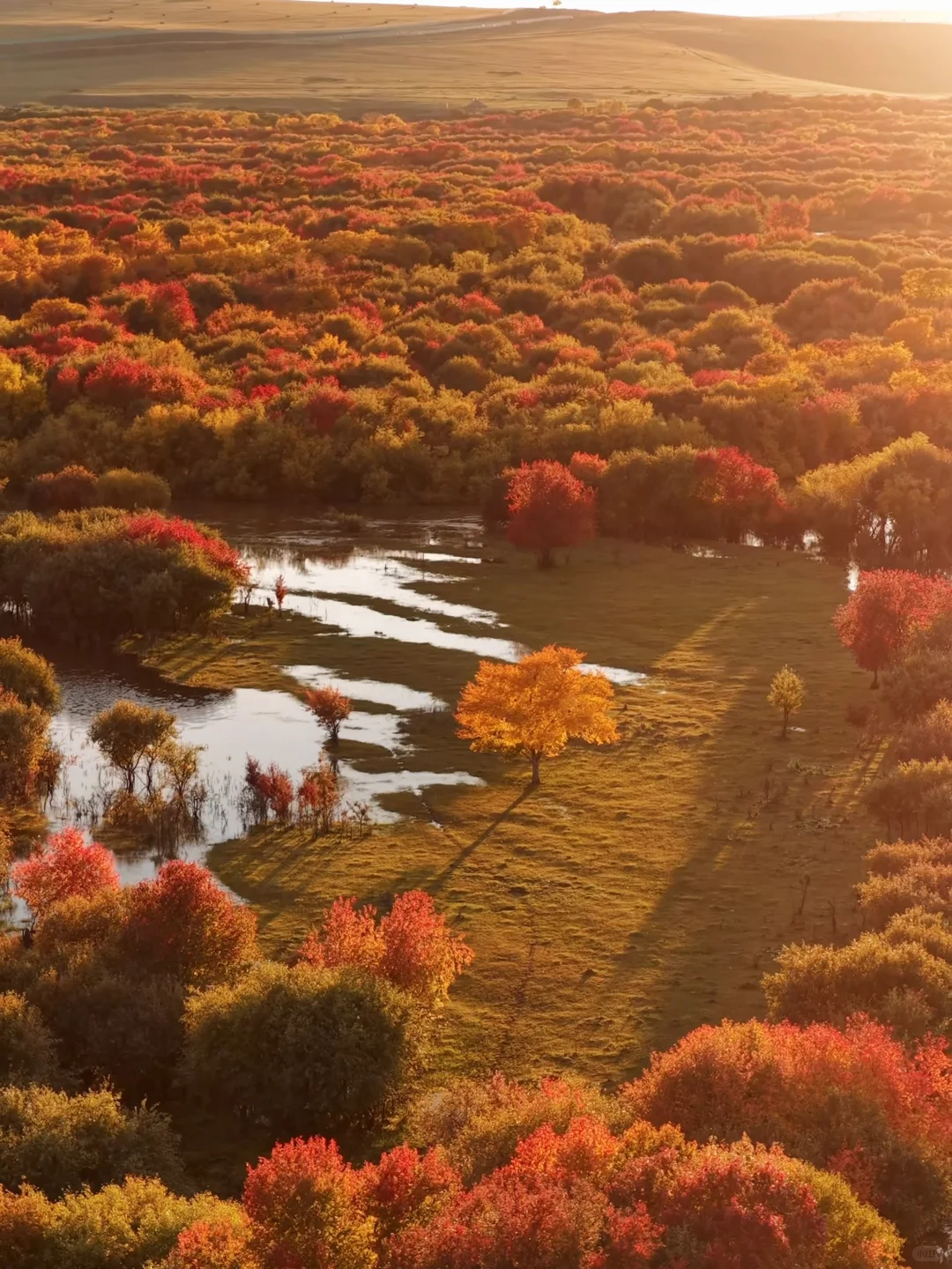 不敢相信!大兴安岭的尽头是“大海”