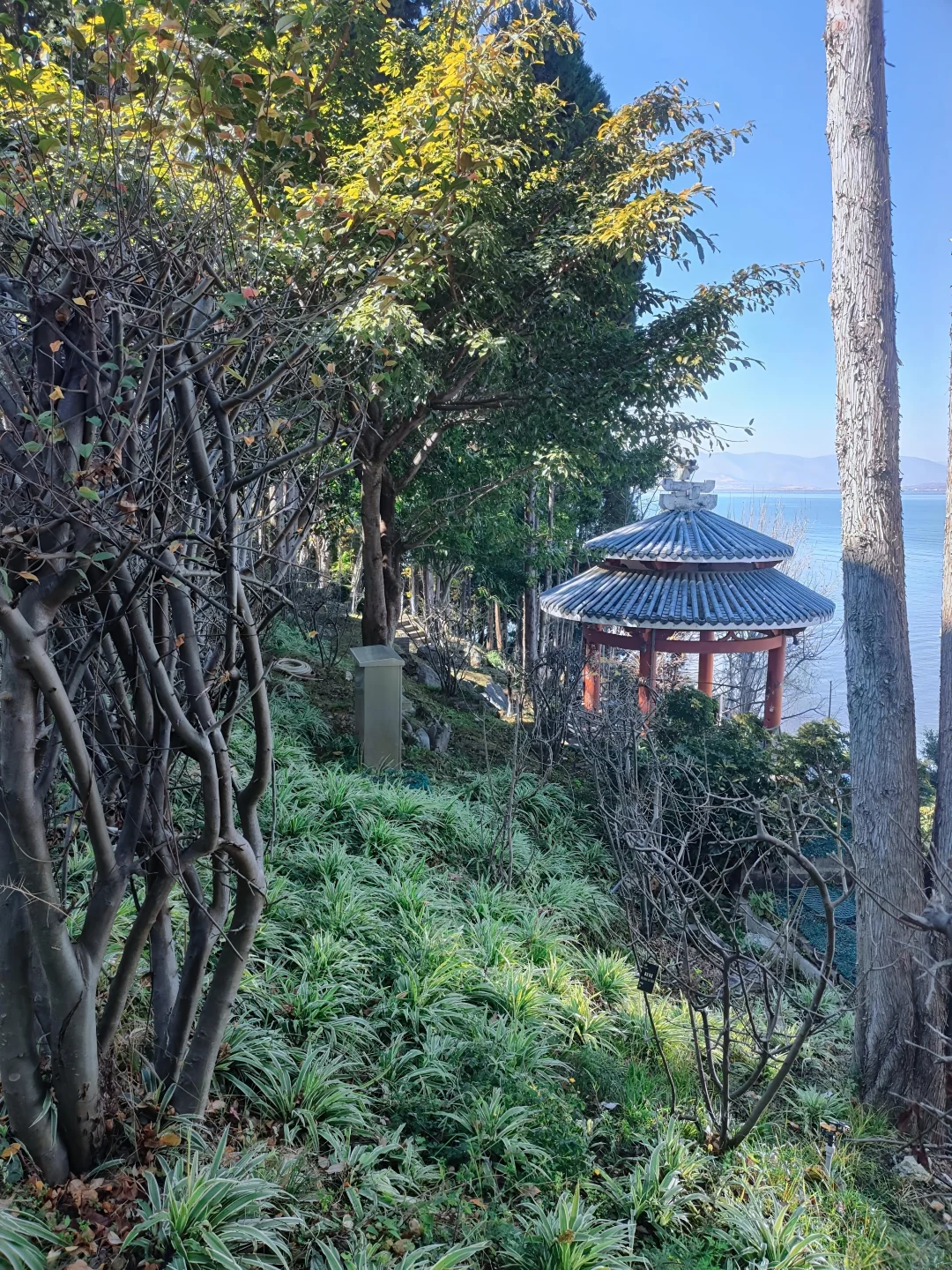 国内旅游天花板非云南莫属