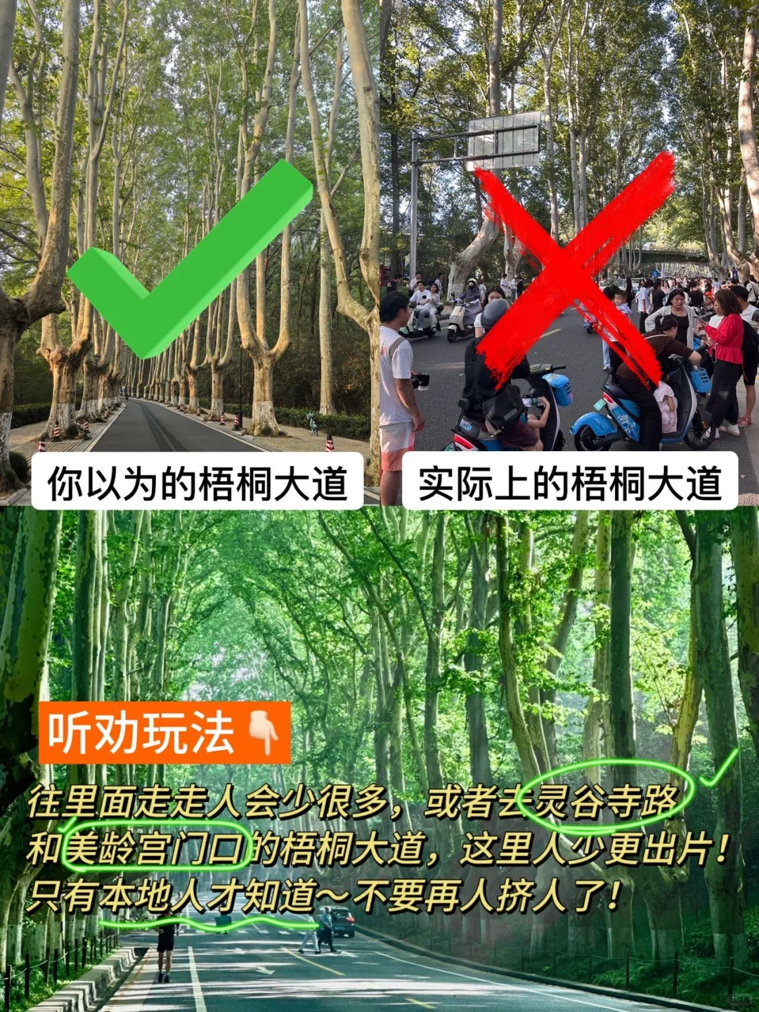 这就是南京现状。。十月来南京的听劝！！