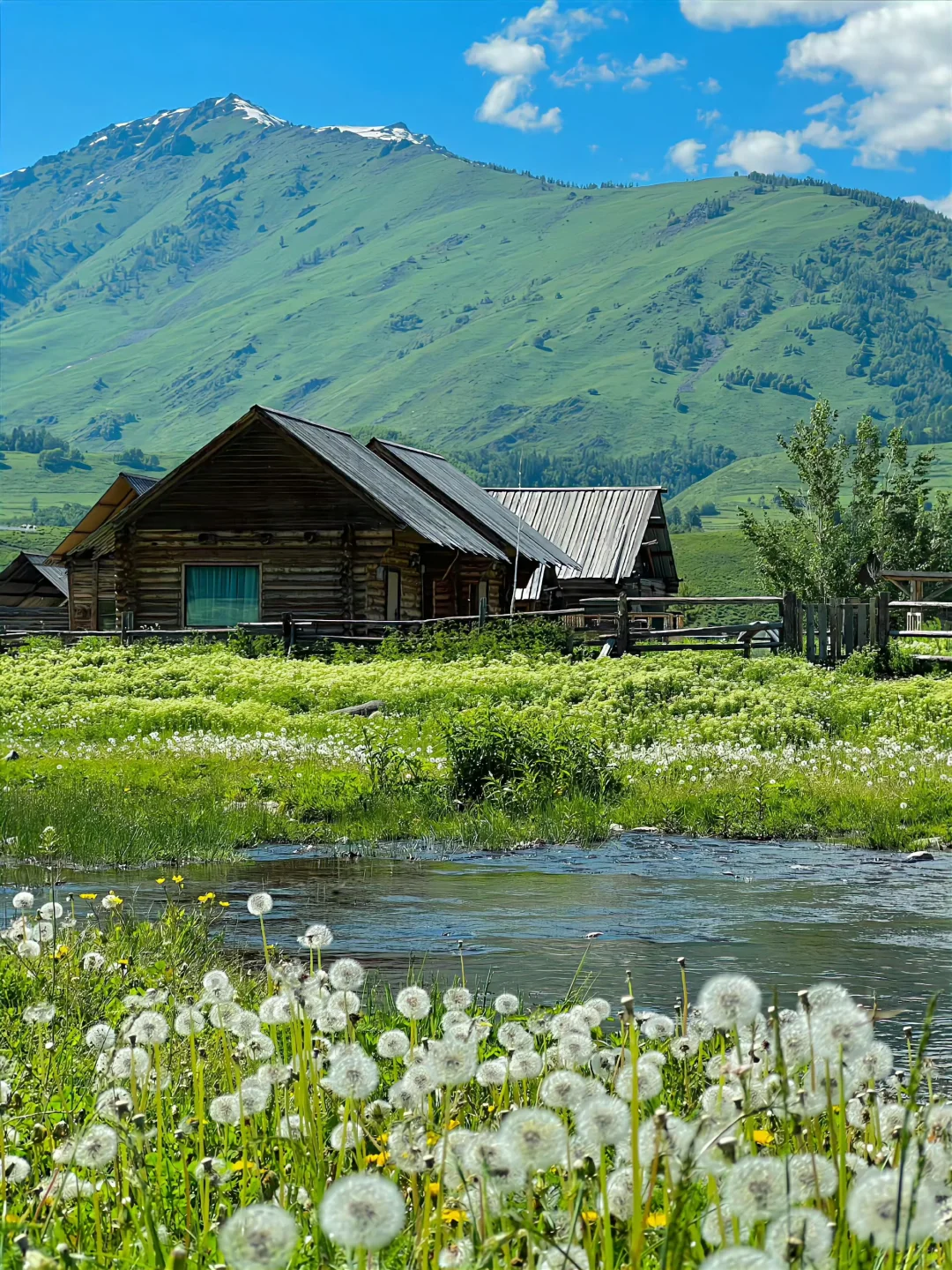 我的阿勒泰，如画般的禾木村🖼️