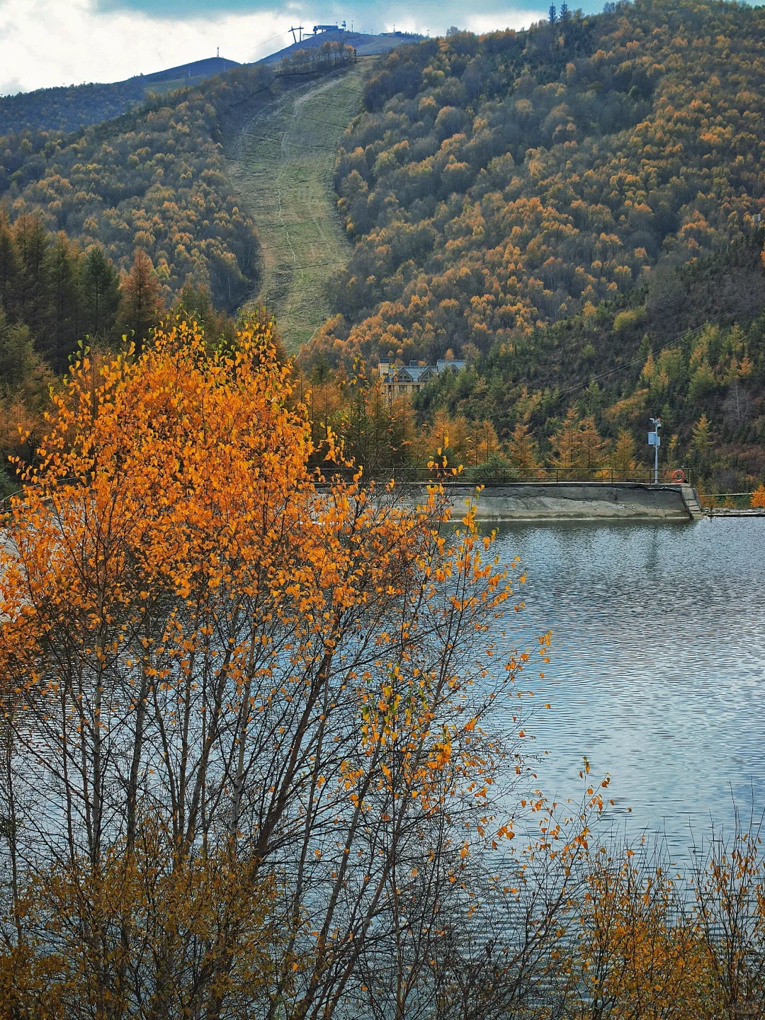 10月5日实拍，崇礼梧桐大道必冲，py圈 99+