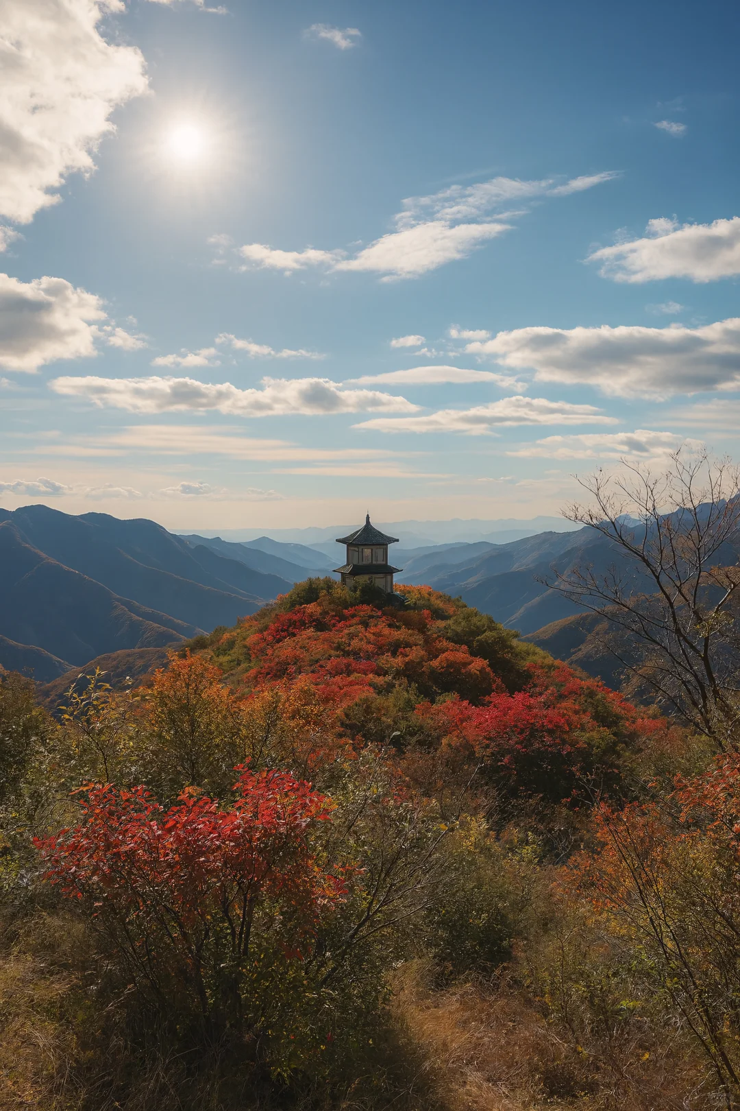 不去香山！北京私藏的红叶秘境，氛围感绝了