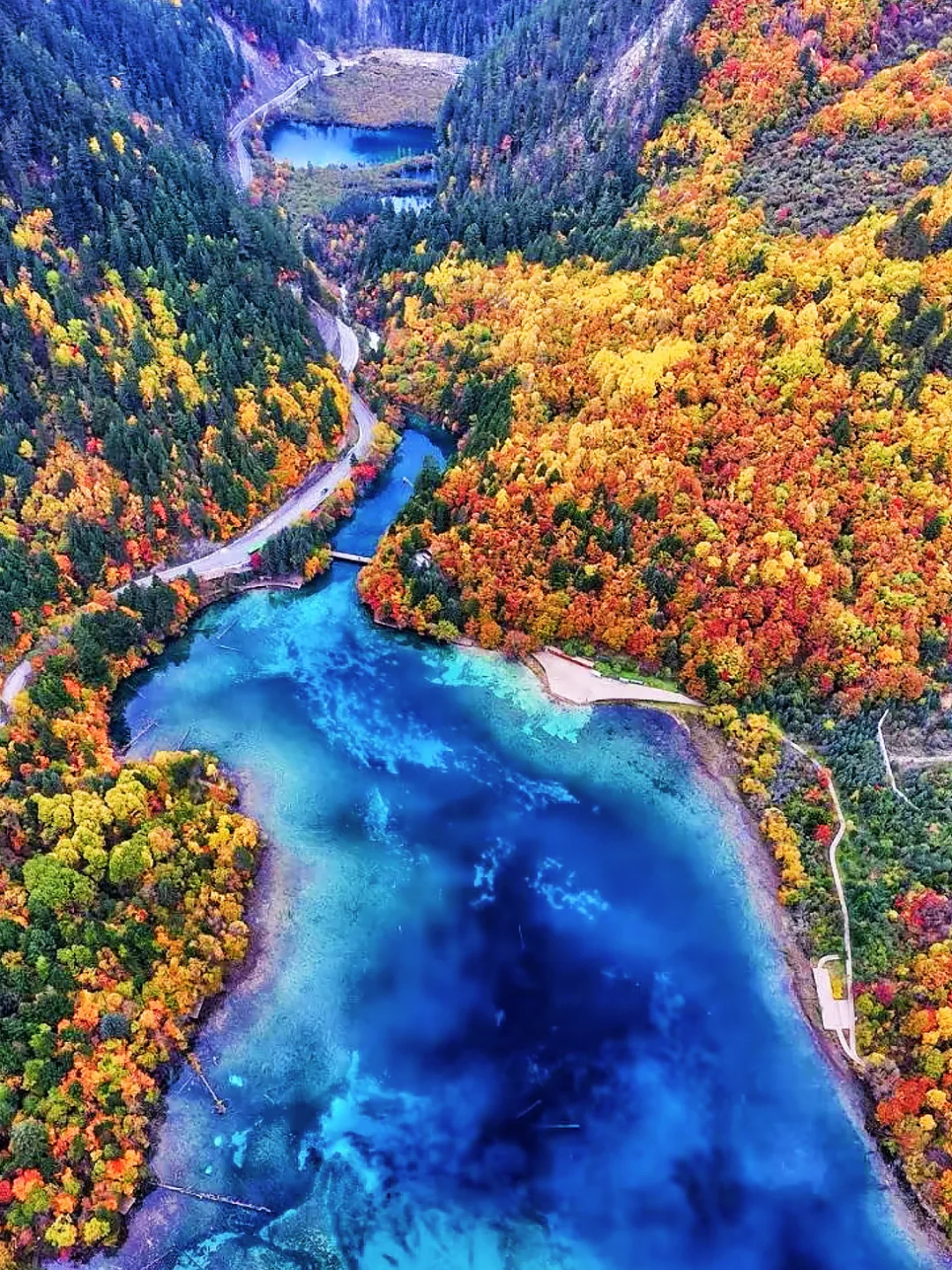 接下来的九寨沟,彩林进入封神期!一年仅30天