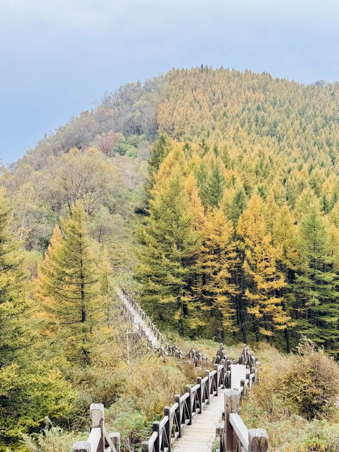 10.2石家庄阿勒泰杀疯了