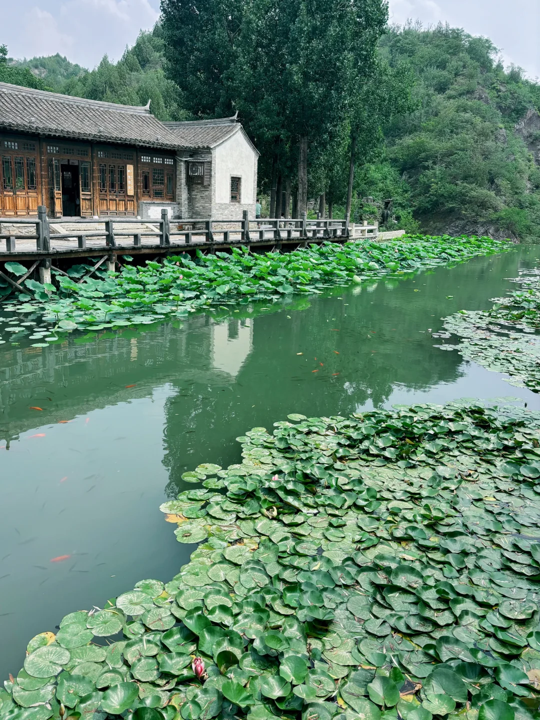 北京古北水镇1日游暴走全攻略｜附节目时间