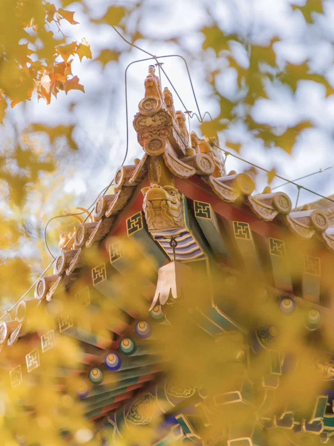 当秋风起🍂北京就变成了北平(附打卡点)