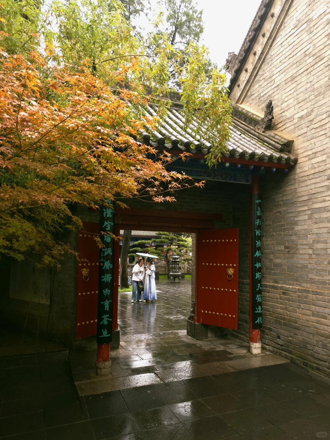 🌿西安闹市区人少景美的八仙庵