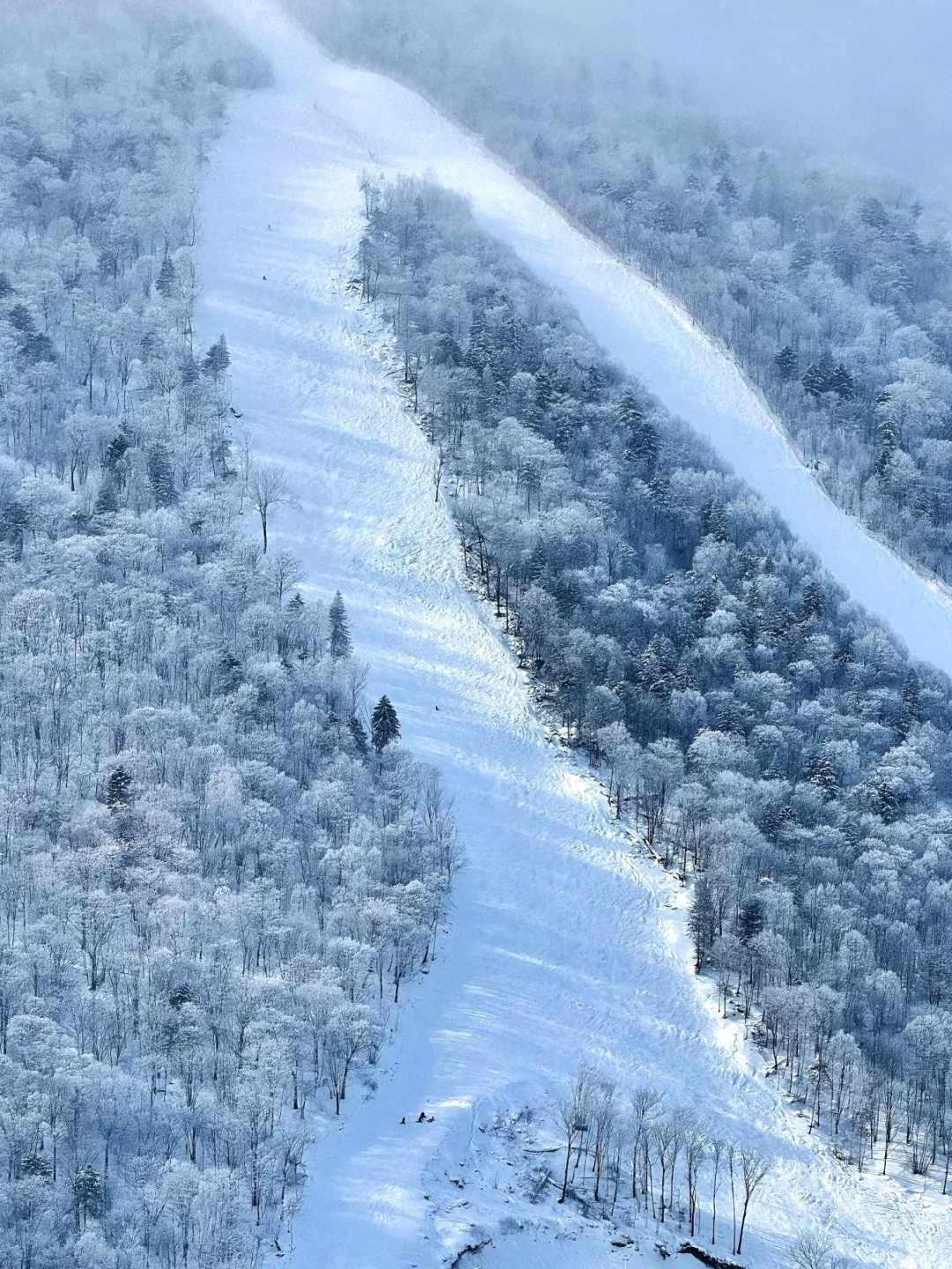 🎿冬季滑雪冲北大湖！双人早鸟套票869元起💰