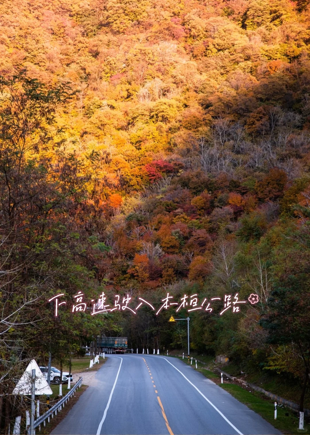 北京出发,这万山火红才是秋日绝色