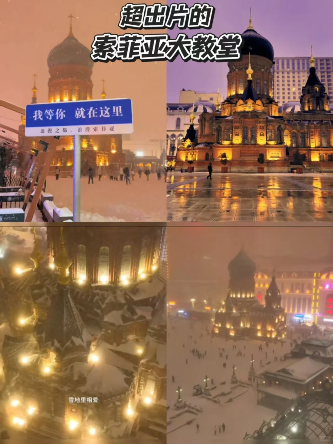 🇲🇾南方小土豆的快乐追雪日记❄️