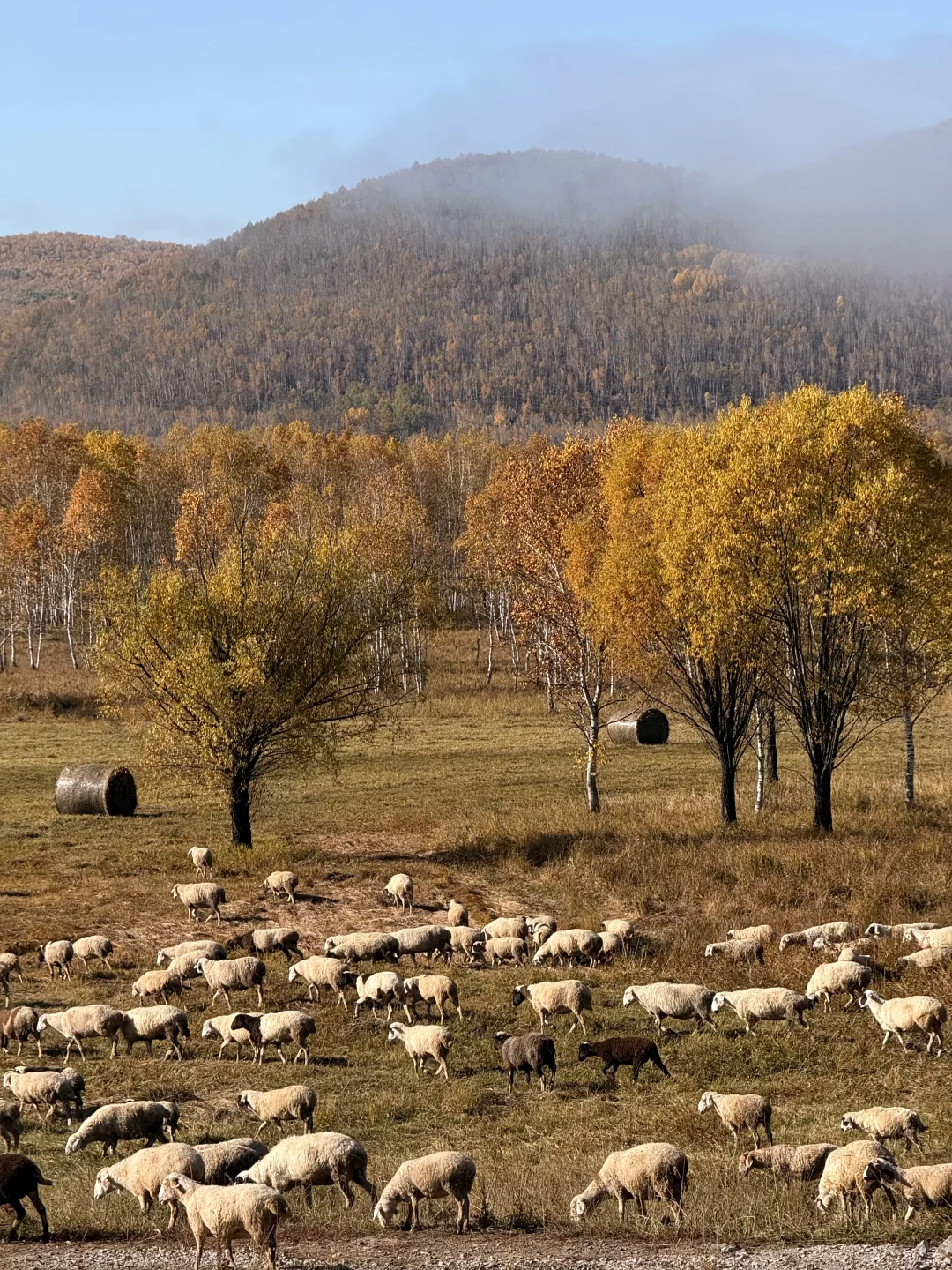 不敢相信!大兴安岭的尽头是“大海”