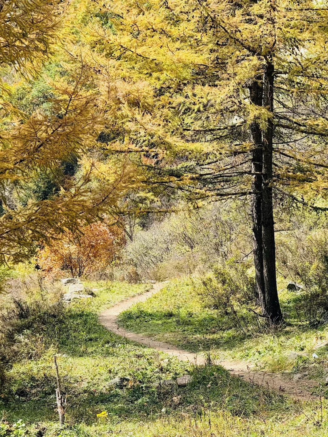 10.2石家庄阿勒泰杀疯了