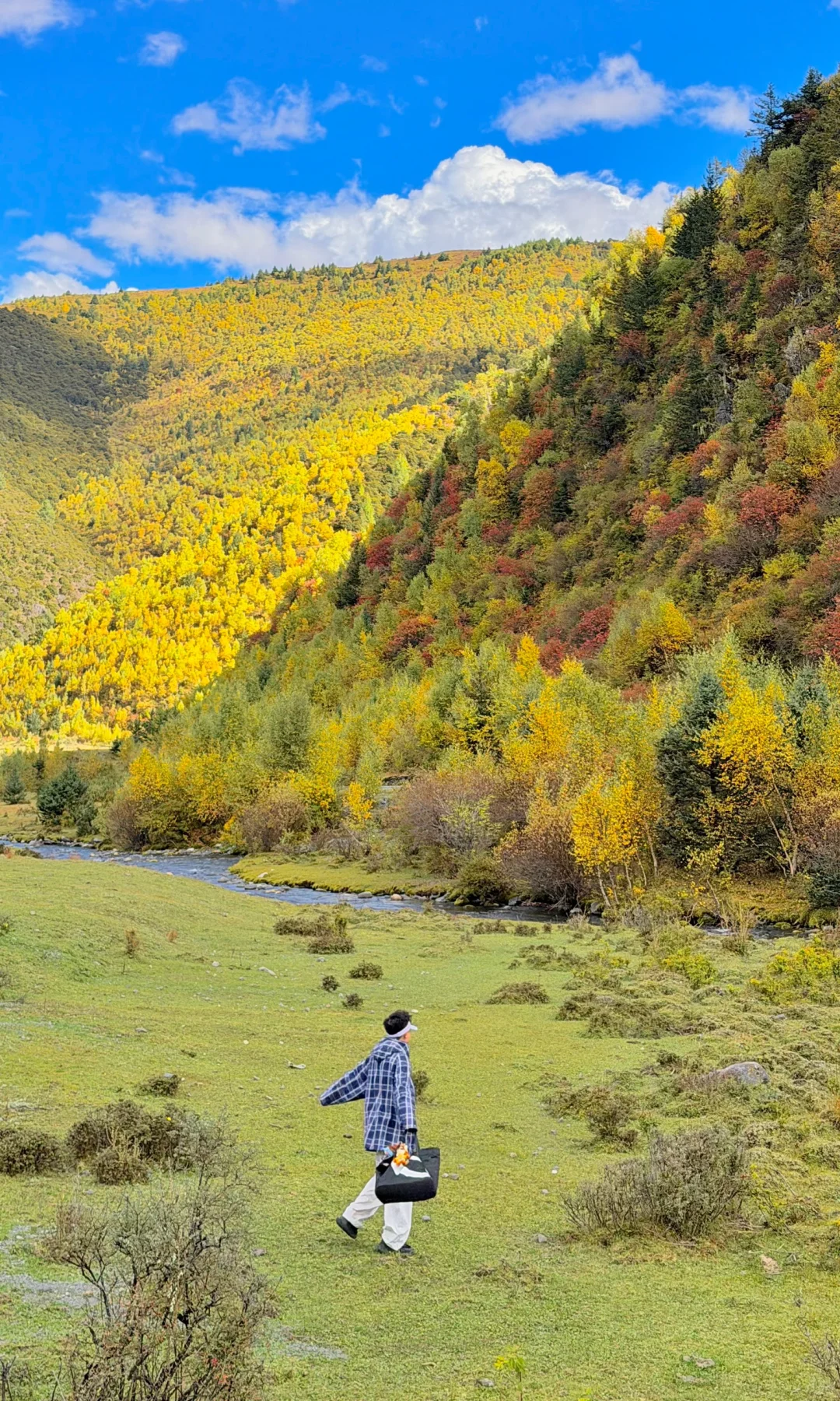 10.8川西实况，油画彩林🖼️杀疯了！！！！！！！！！
