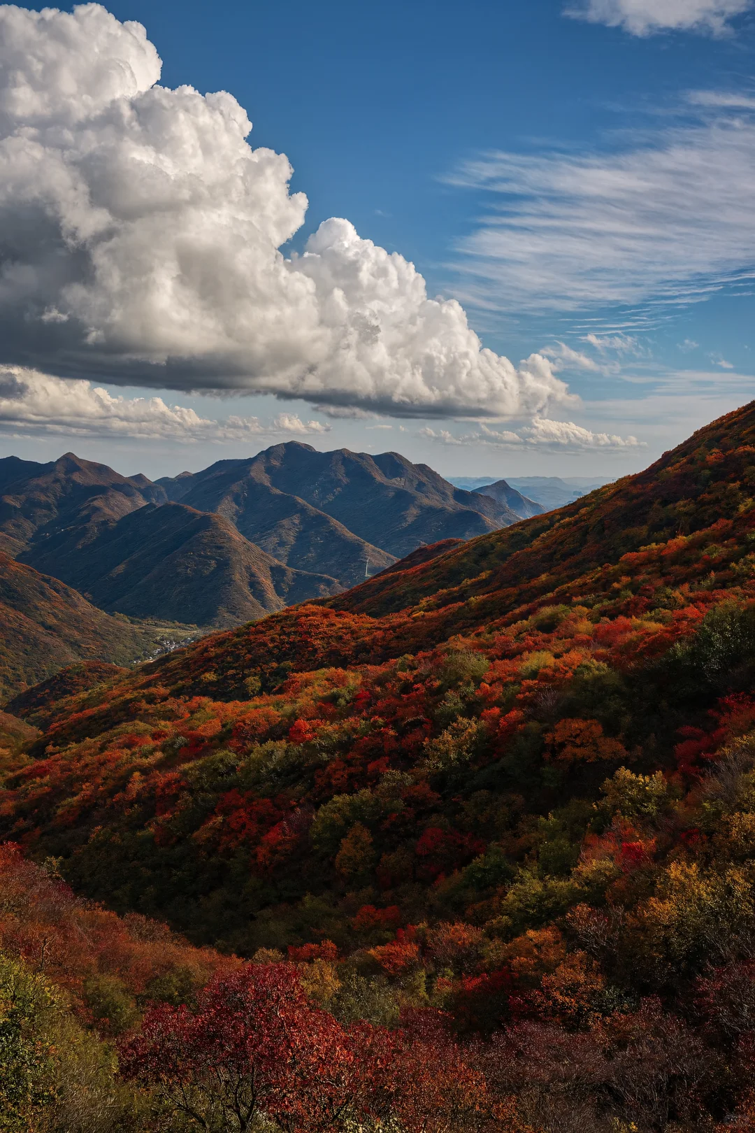 不去香山！北京私藏的红叶秘境，氛围感绝了