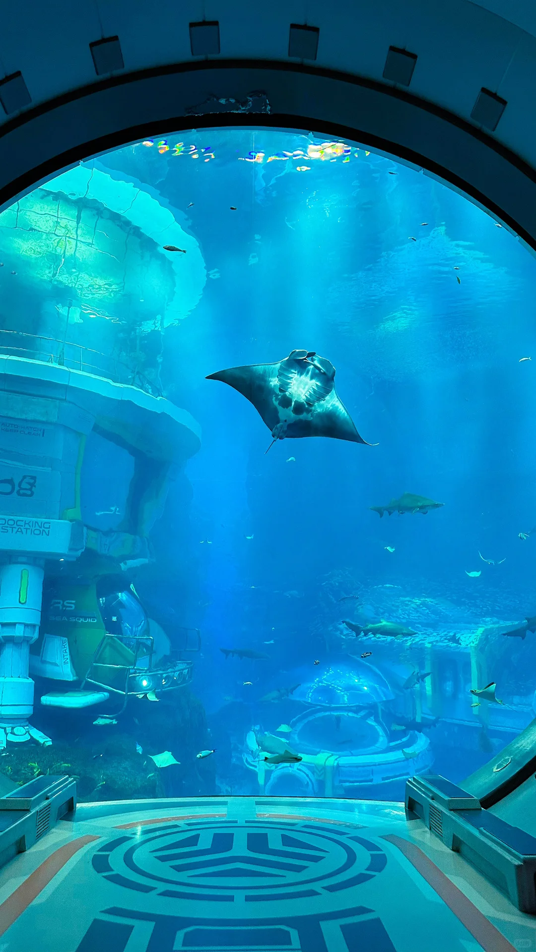 🐳 Sea World，全球最大海洋世界太震撼