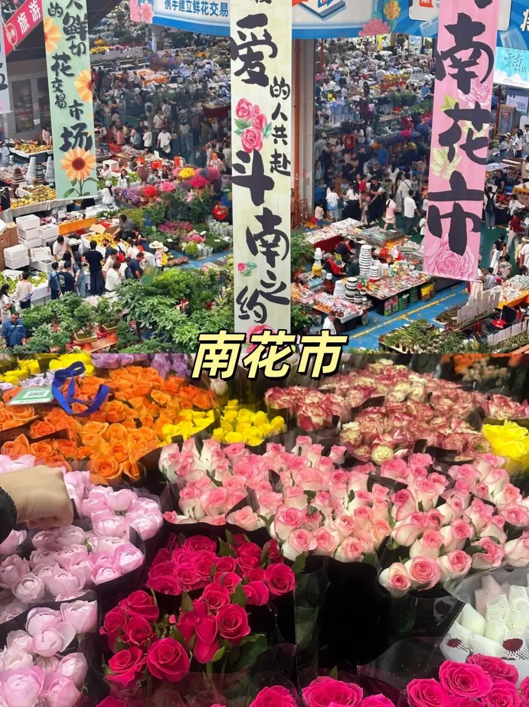 # 国庆云南6天5夜亲测！秋高气爽版攻略