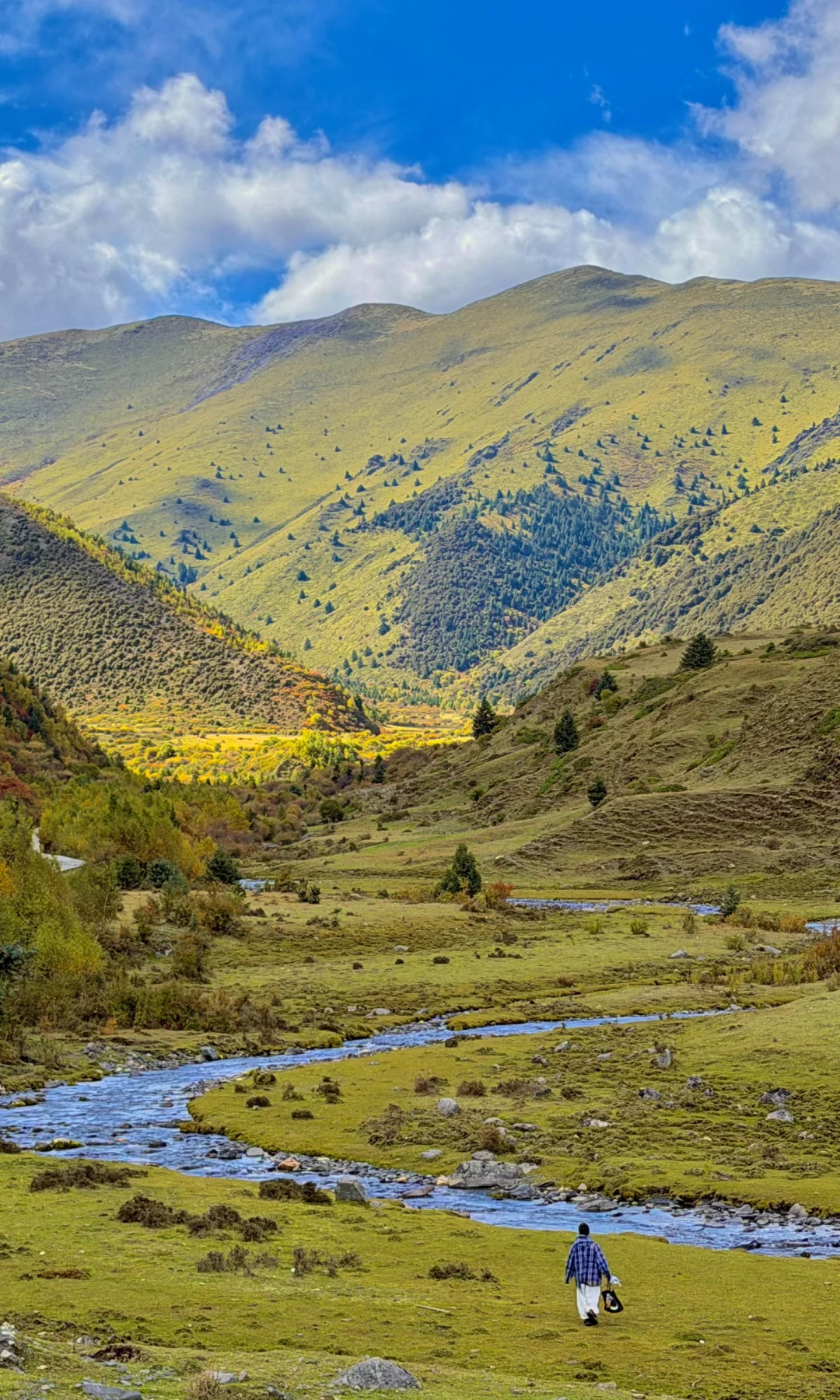 10.8川西实况，油画彩林🖼️杀疯了！！！！！！！！！