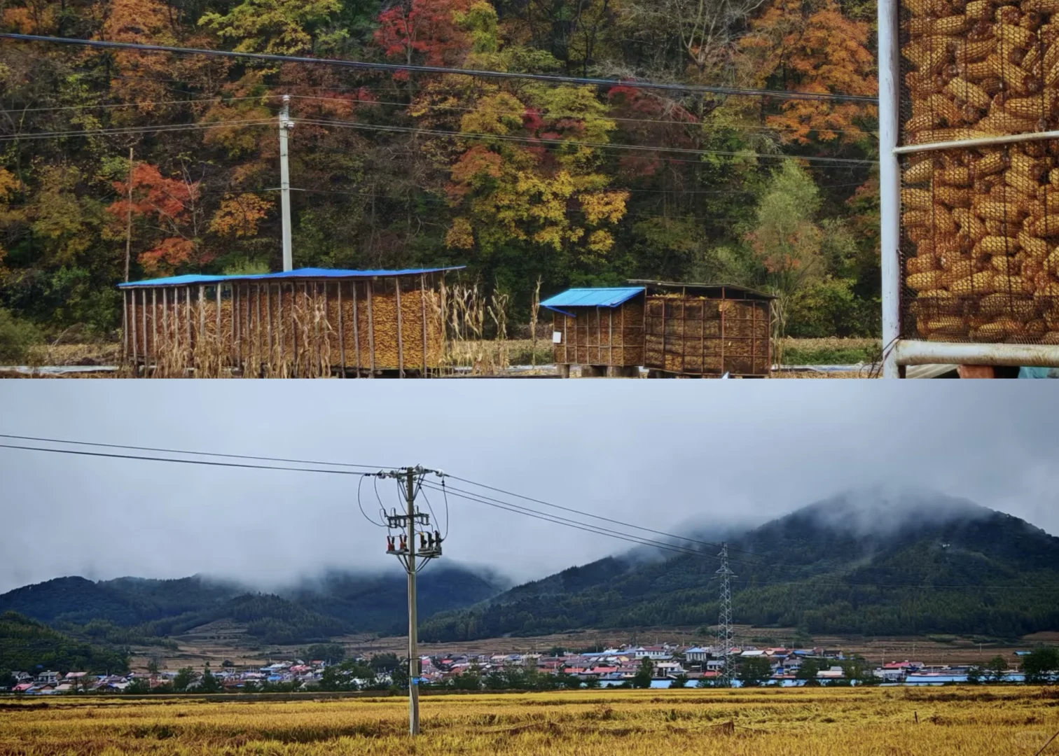 北京出发,这万山火红才是秋日绝色