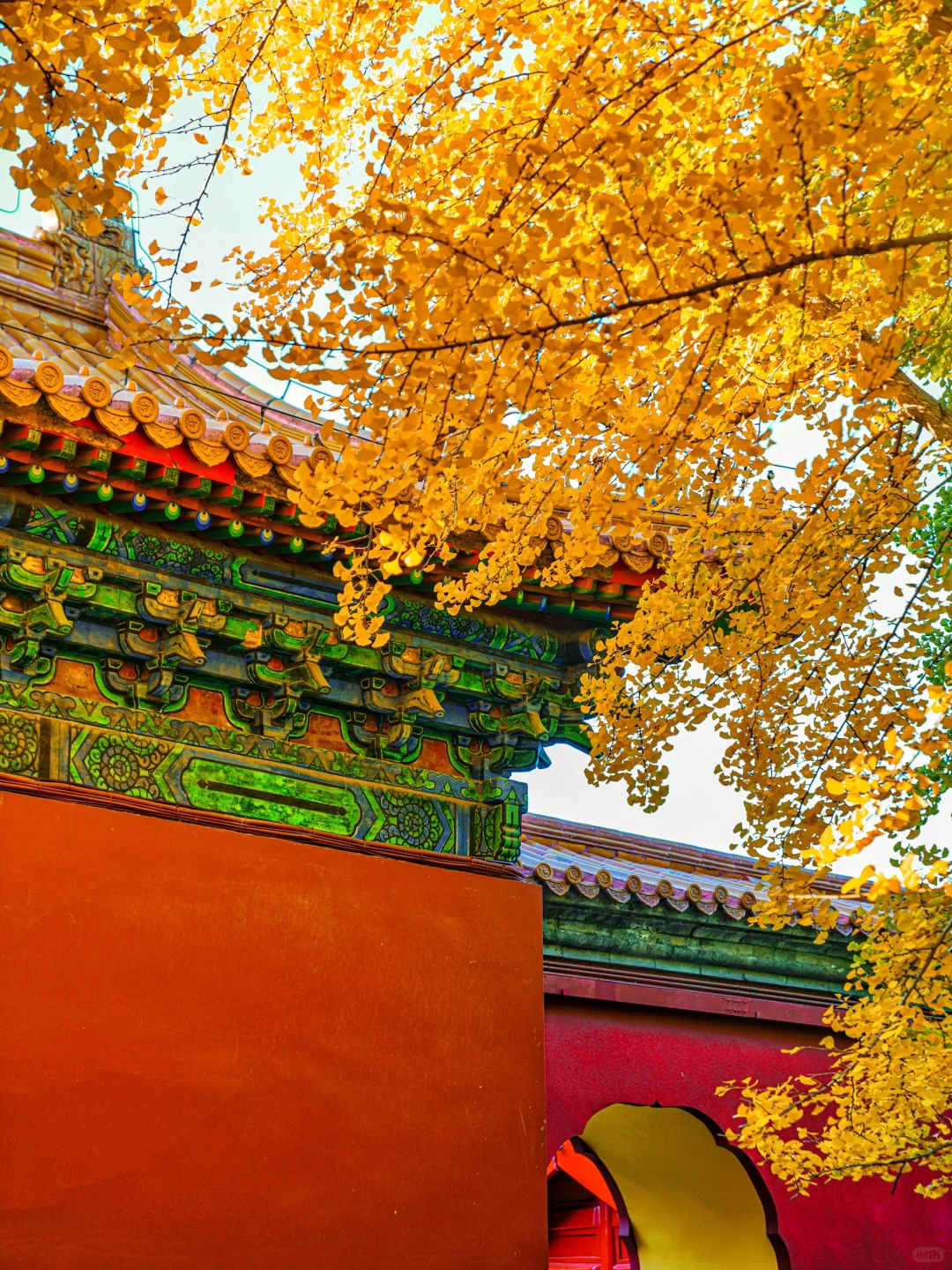 🍁一定要来北京感受一次老舍笔下的北平之秋