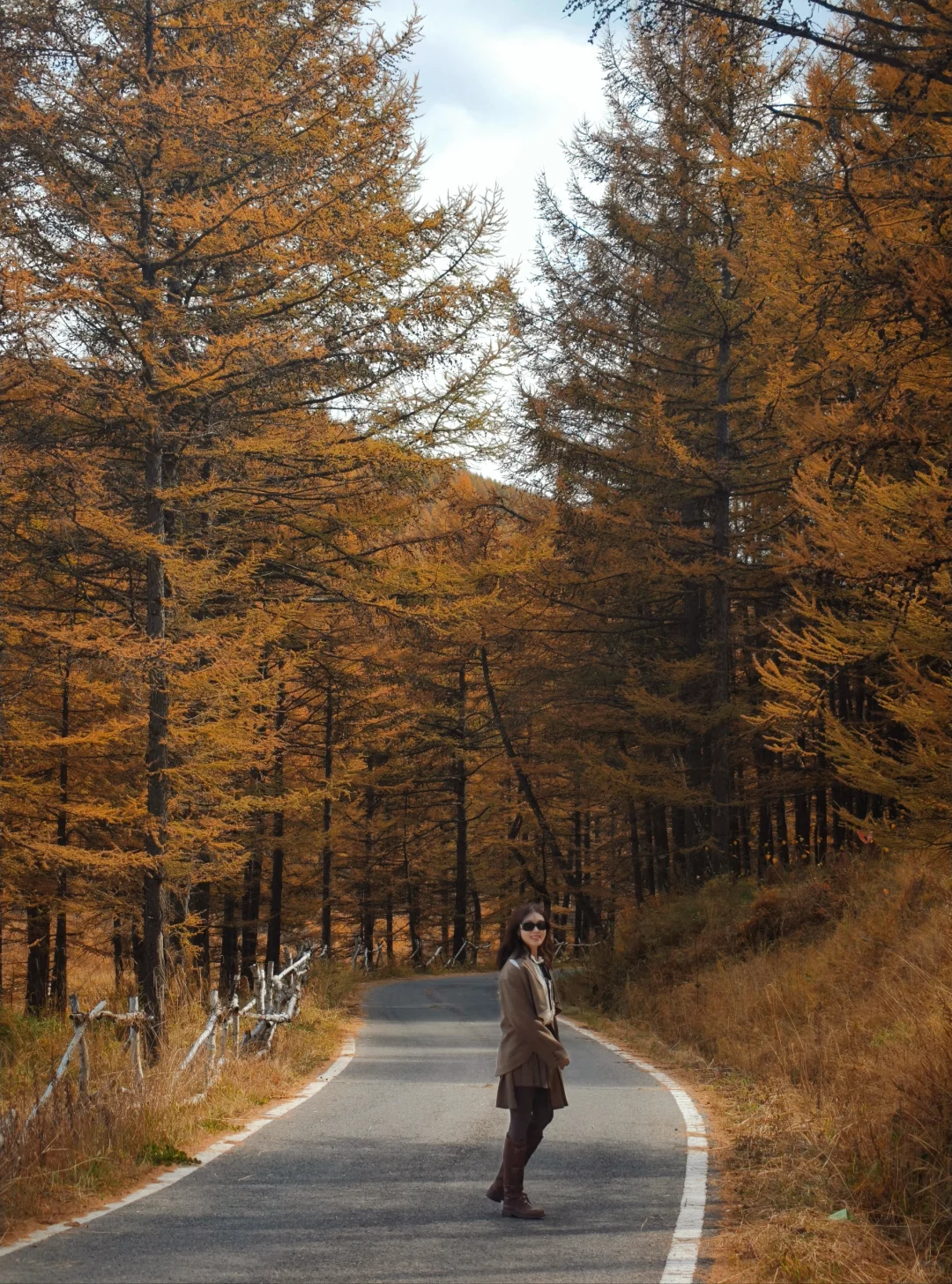 10月5日实拍，崇礼梧桐大道必冲，py圈 99+