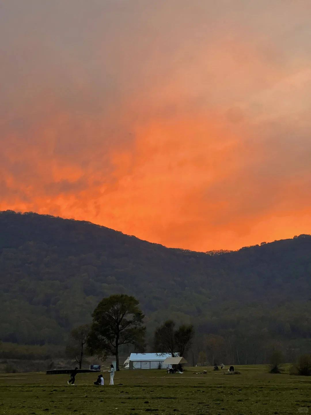 这么近那么美!!河北才叫美!!