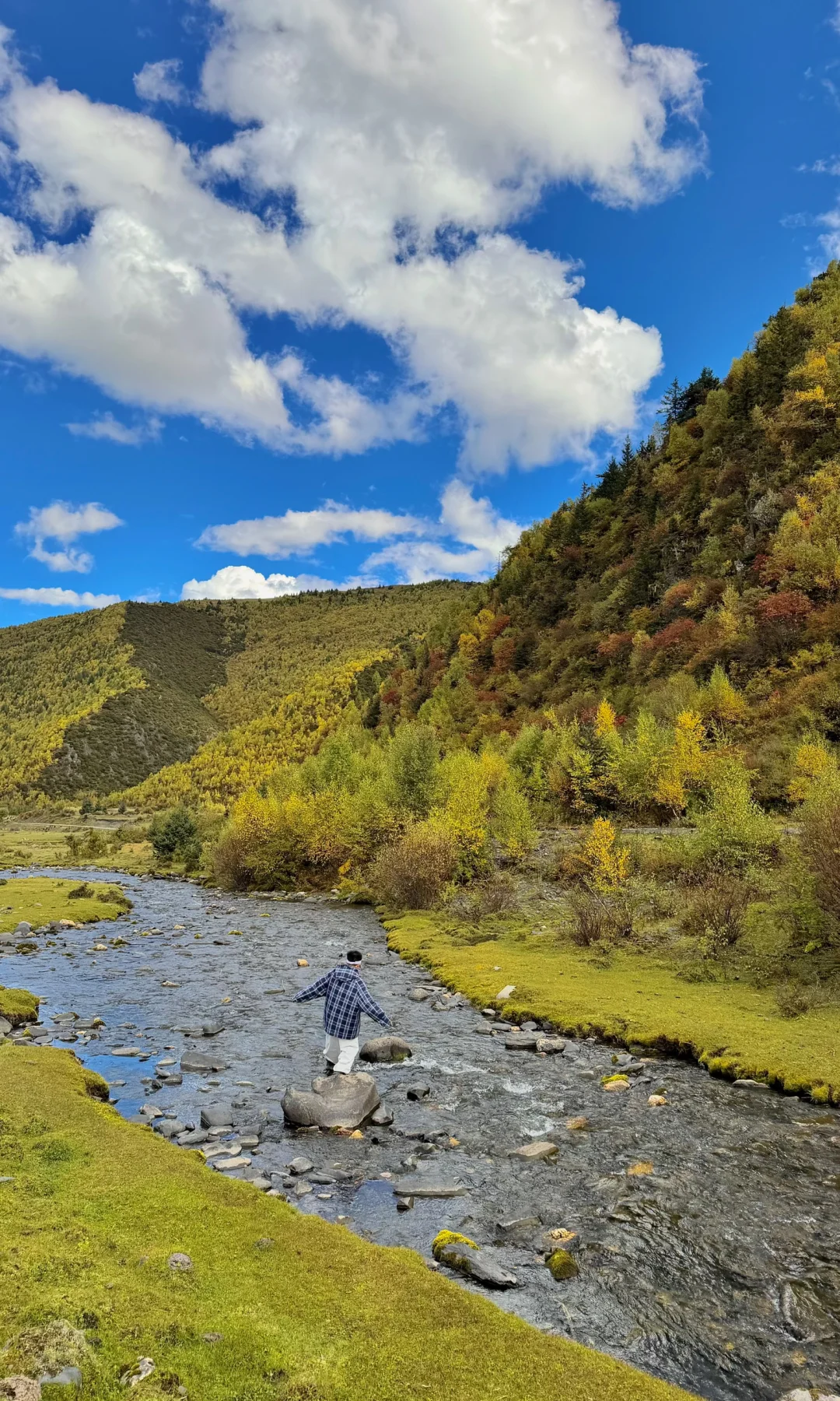 10.8川西实况，油画彩林🖼️杀疯了！！！！！！！！！