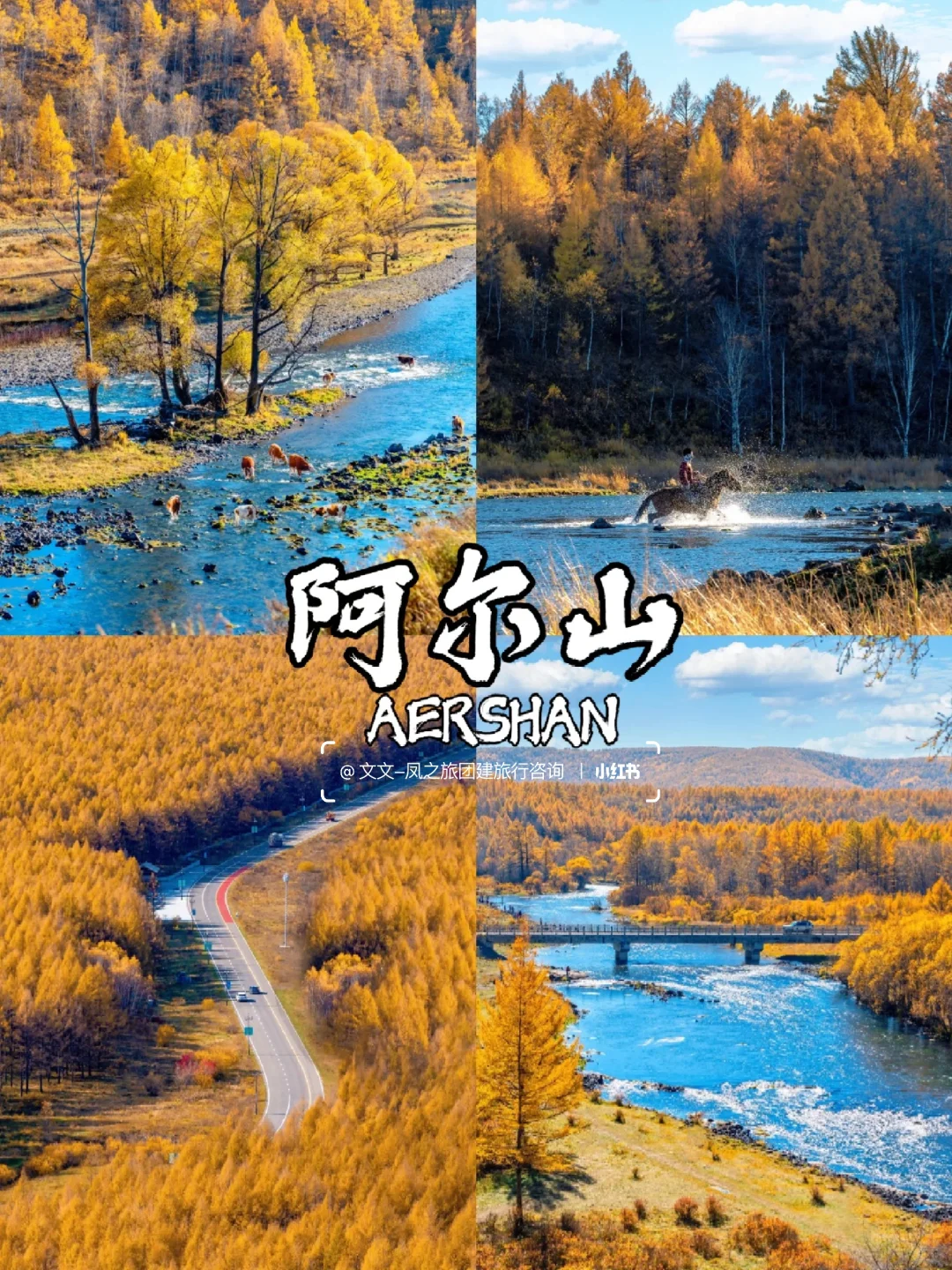 10-12月国内9个赏秋宝藏地🍂美到窒息~