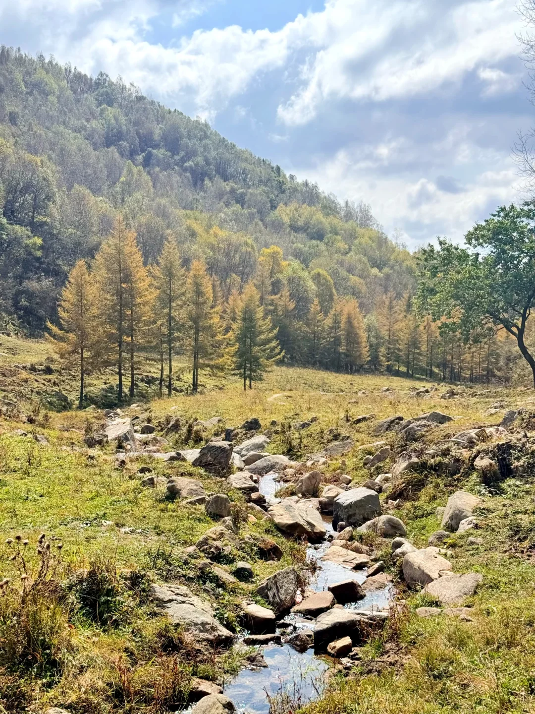 10.2石家庄阿勒泰杀疯了