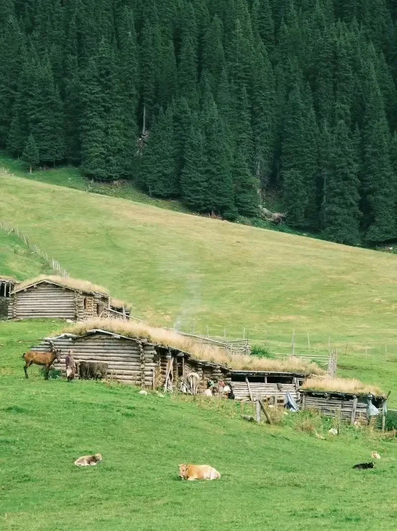 我的阿勒泰，如画般的禾木村🖼️