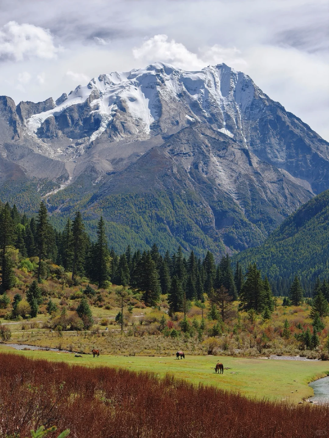 总要去一趟川西吧！这是亚拉雪山给的自由