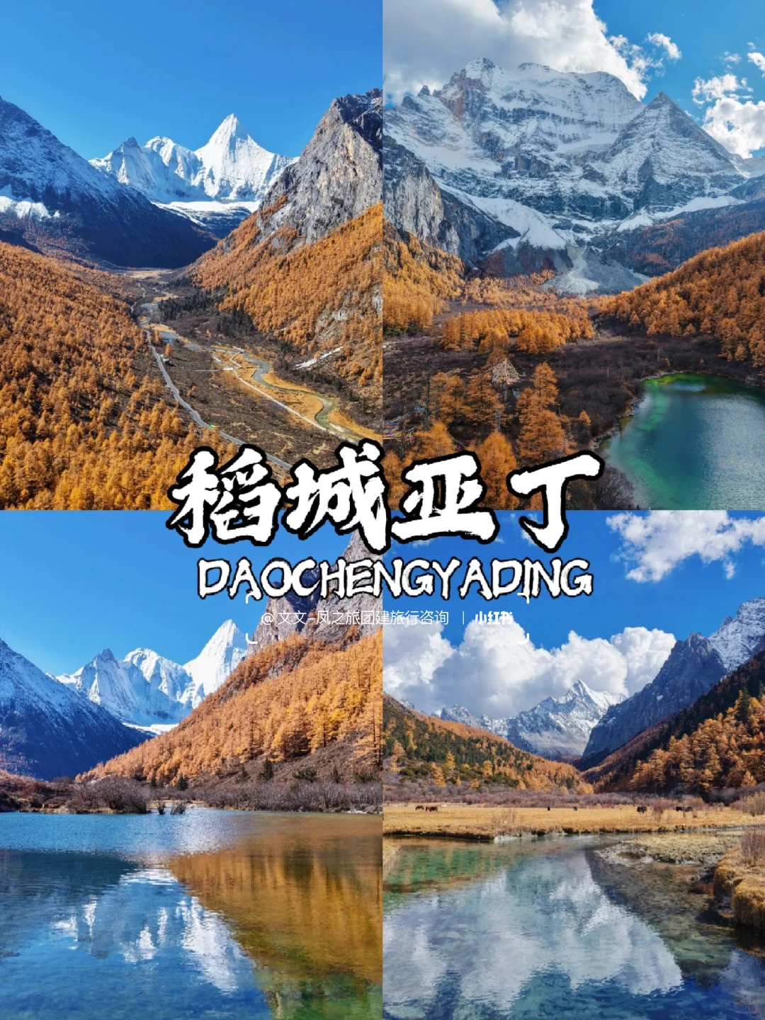 10-12月国内9个赏秋宝藏地🍂美到窒息~
