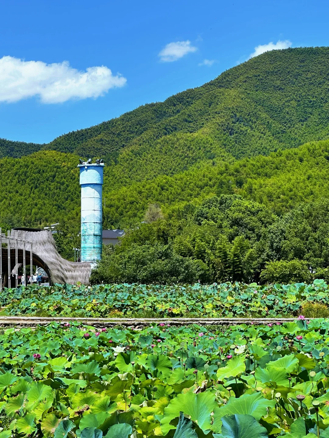 安吉来10000遍都不觉得腻🌊小众路线全攻略