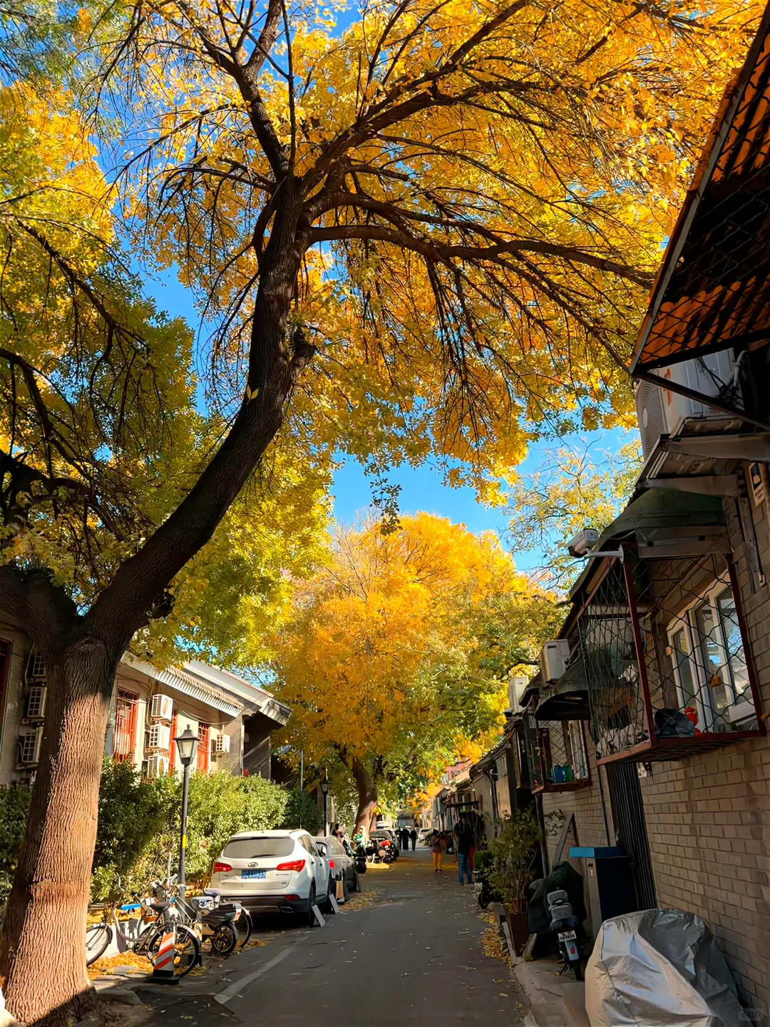 北平的秋天便是人间天堂🍂