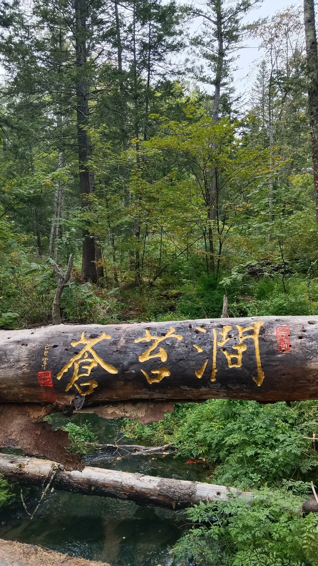 长白山九溪听泉游玩攻略。