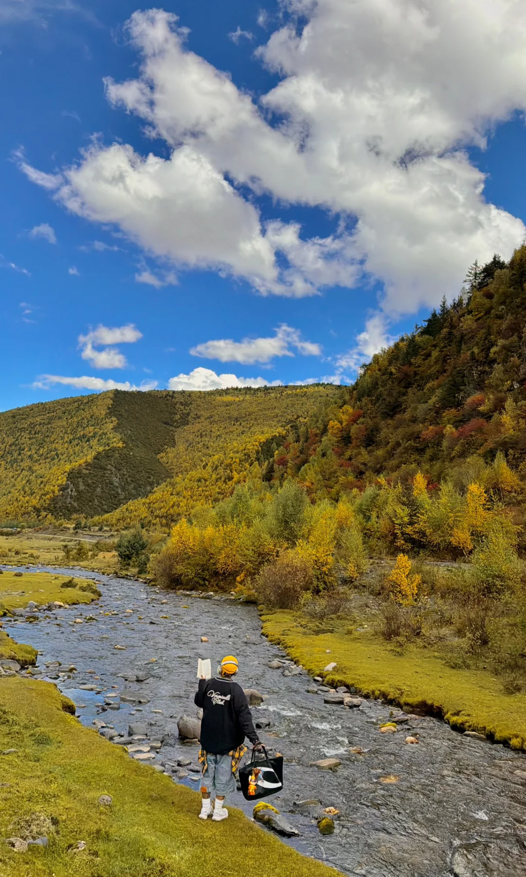 10.8川西实况，油画彩林🖼️杀疯了！！！！！！！！！