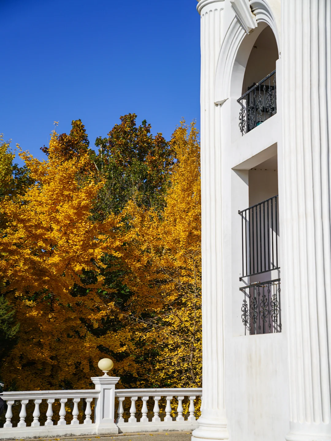 🍁一定要来北京感受一次老舍笔下的北平之秋