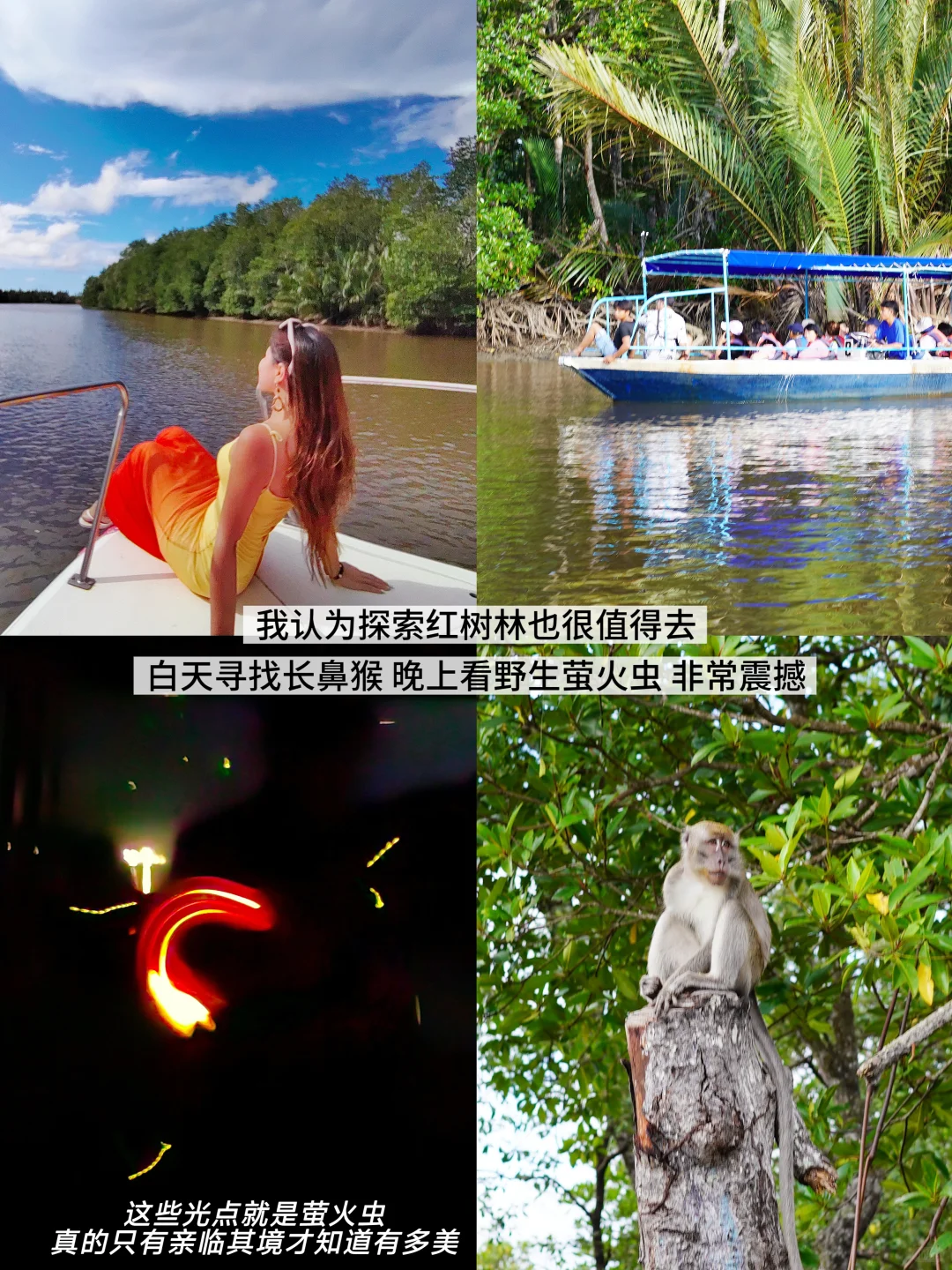 亚庇+仙本那5天4晚攻略！这样玩真的好香！