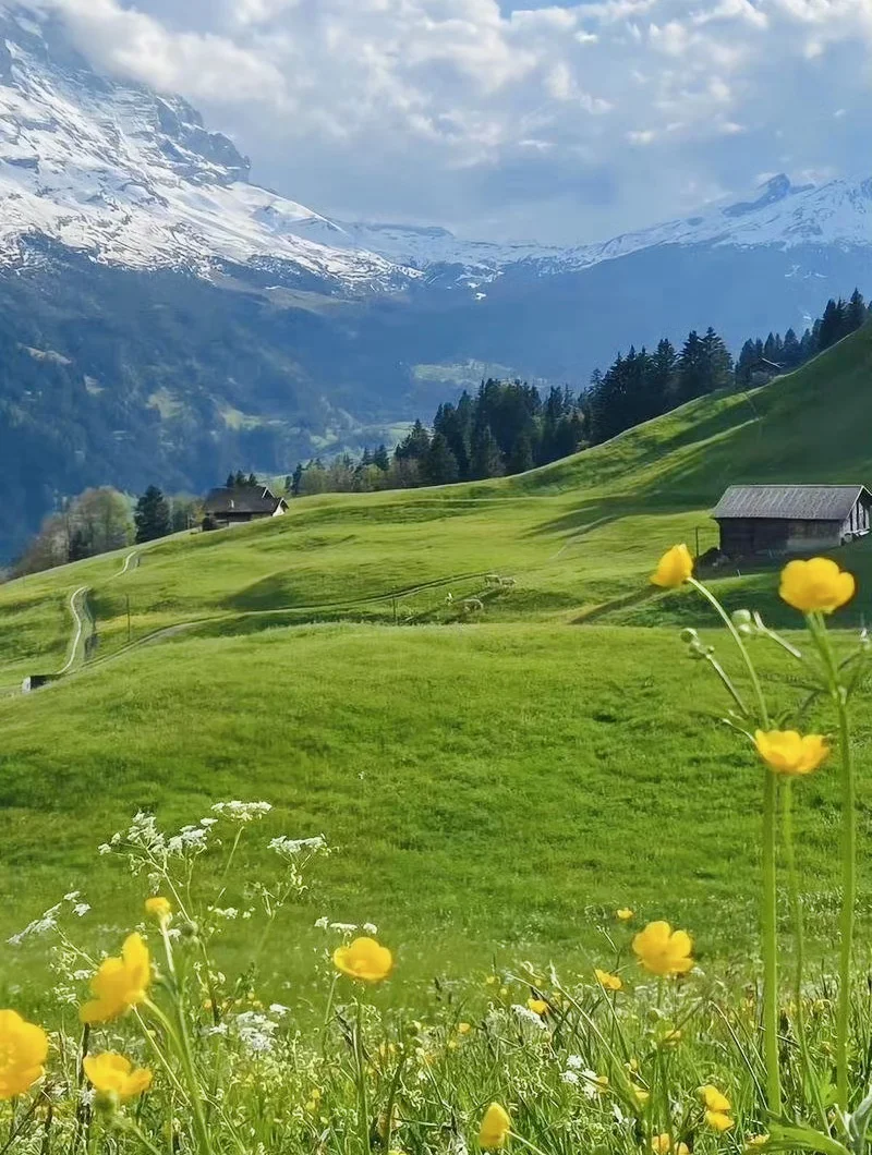 我的阿勒泰，如画般的禾木村🖼️